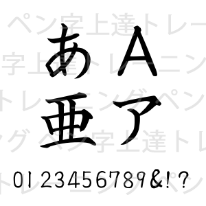 NSK白洲毛筆細正楷書手本"